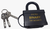 Замок навесной 55мм BINARY короткая дужка